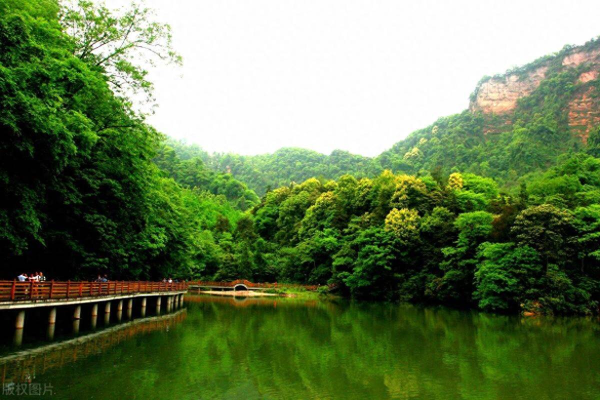 成都到青城山一日游最佳方案(青城山一日游有哪些好玩的)