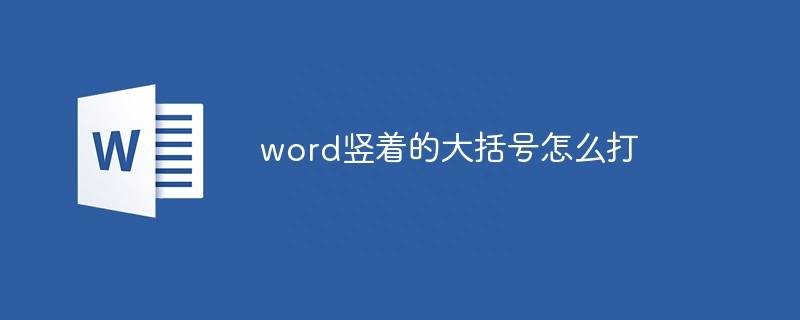 文件号的括号怎么打(word竖着的大括号怎么打)