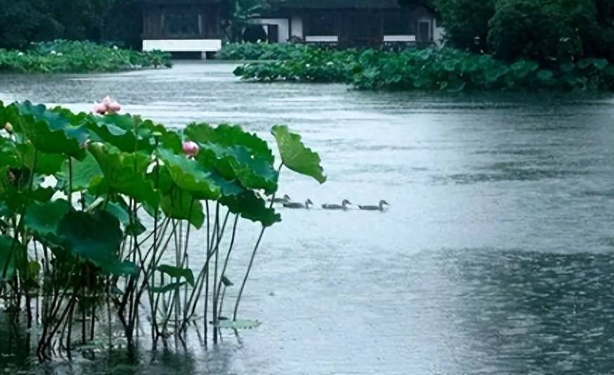 梅雨季节是几月份(2023年梅雨季节是夏季吗)