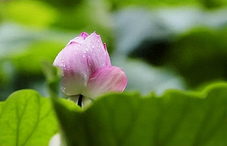 梅雨季节是几月份(2023年梅雨季节是夏季吗)