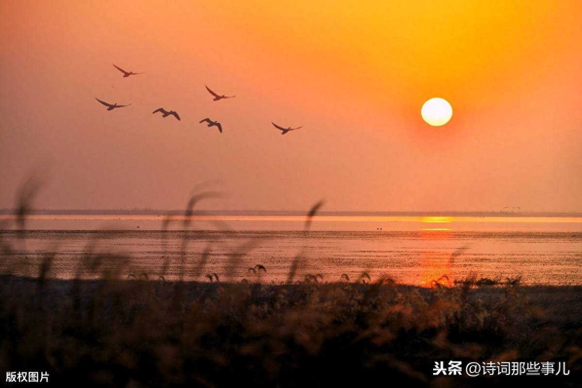 写景的古诗大全300首(五十句经典景物的诗词)