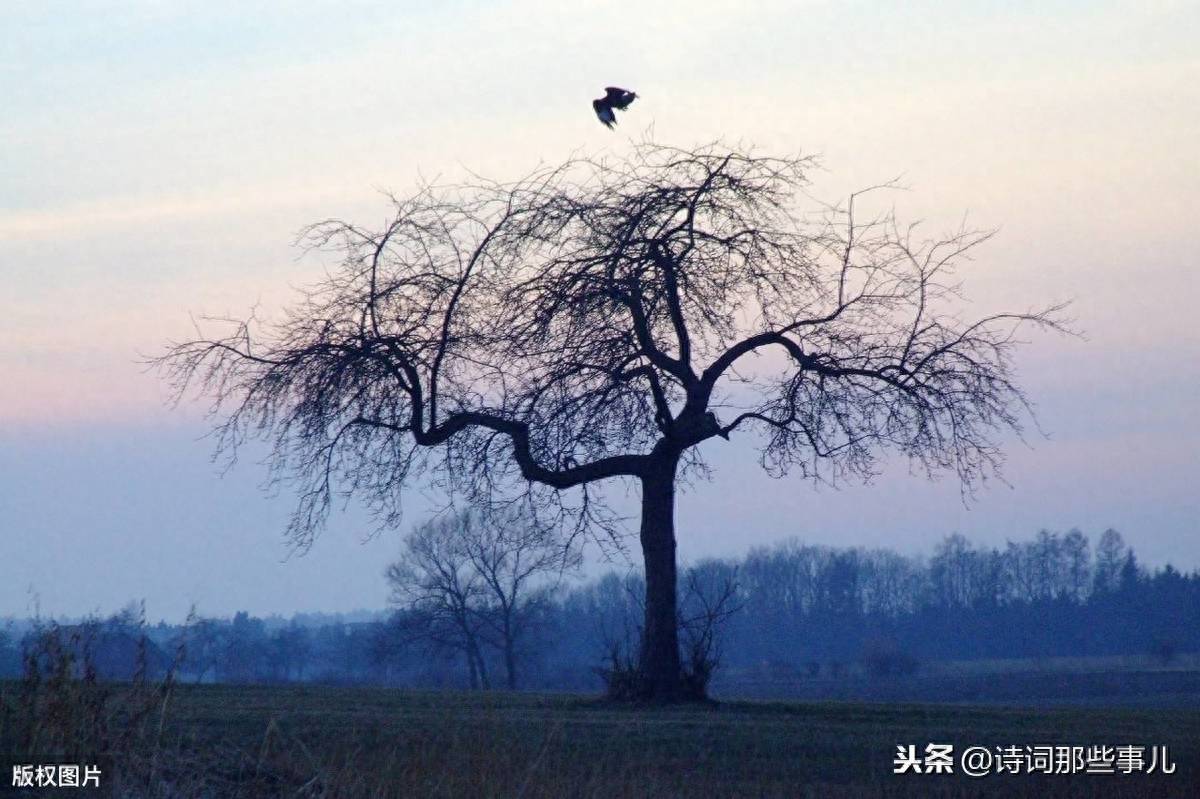 写景的古诗大全300首(五十句经典景物的诗词)