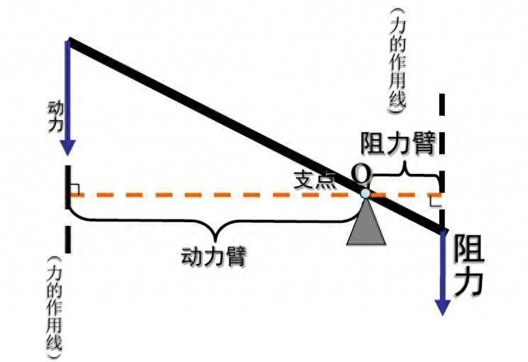 阻力臂和动力臂讲解(手臂是省力杠杆还是费力杠杆)