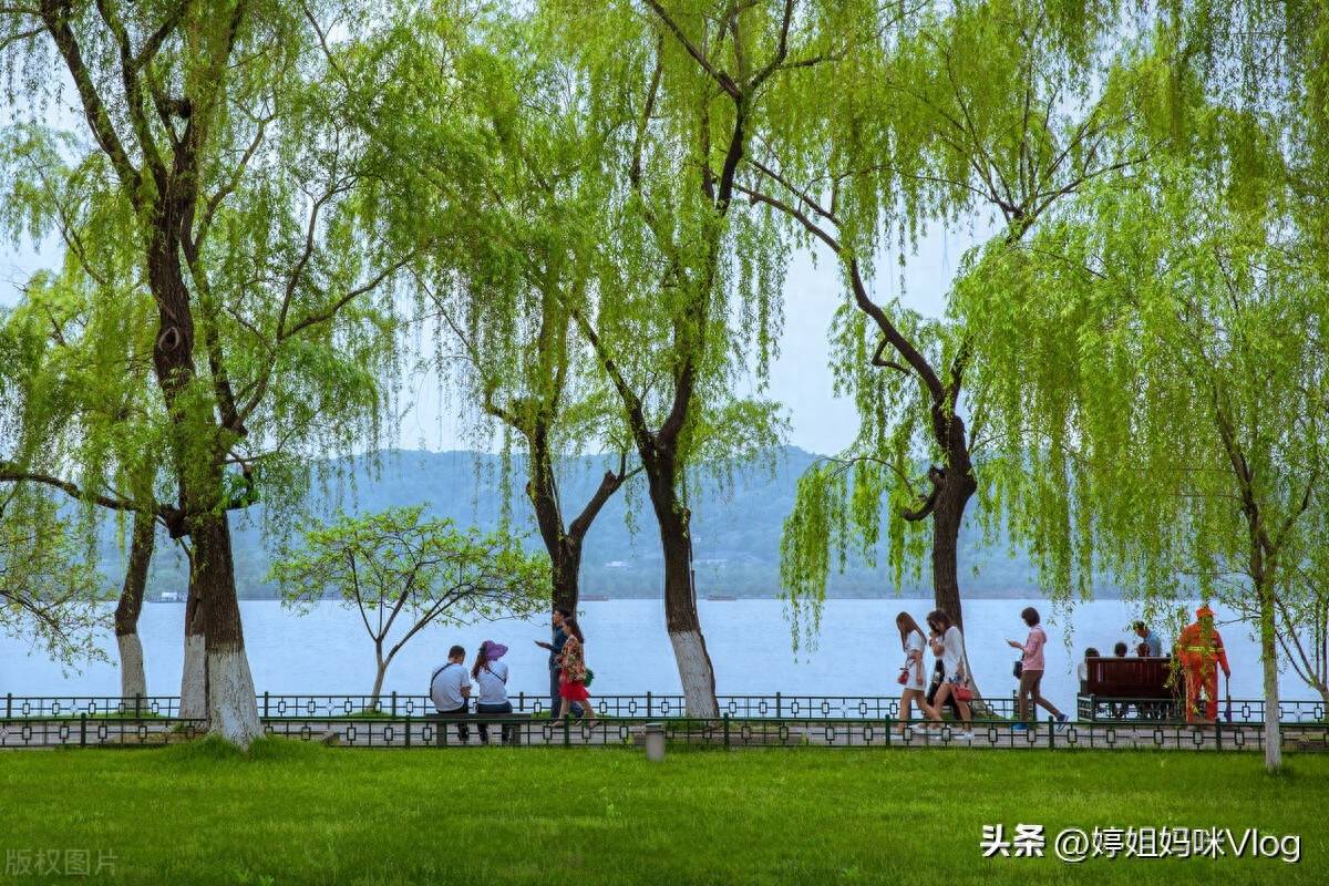 西湖十景是哪10景(杭州西湖十大景点名称)