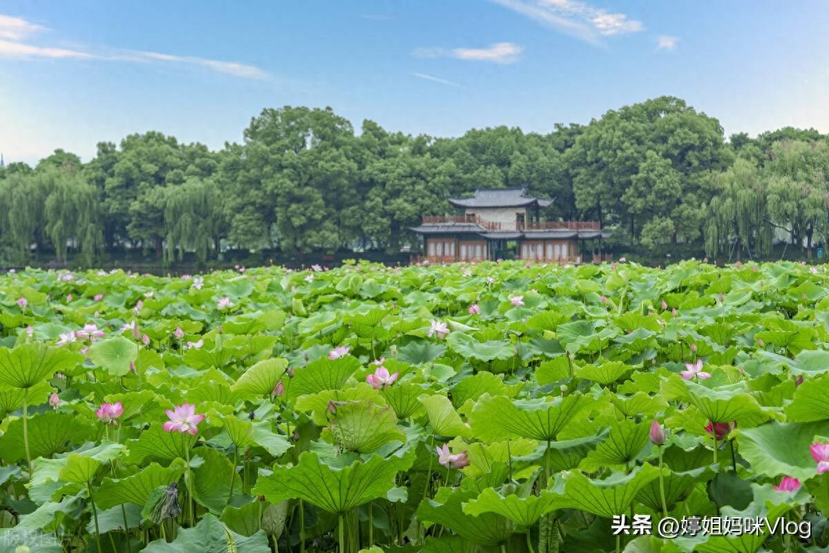 西湖十景是哪10景(杭州西湖十大景点名称)