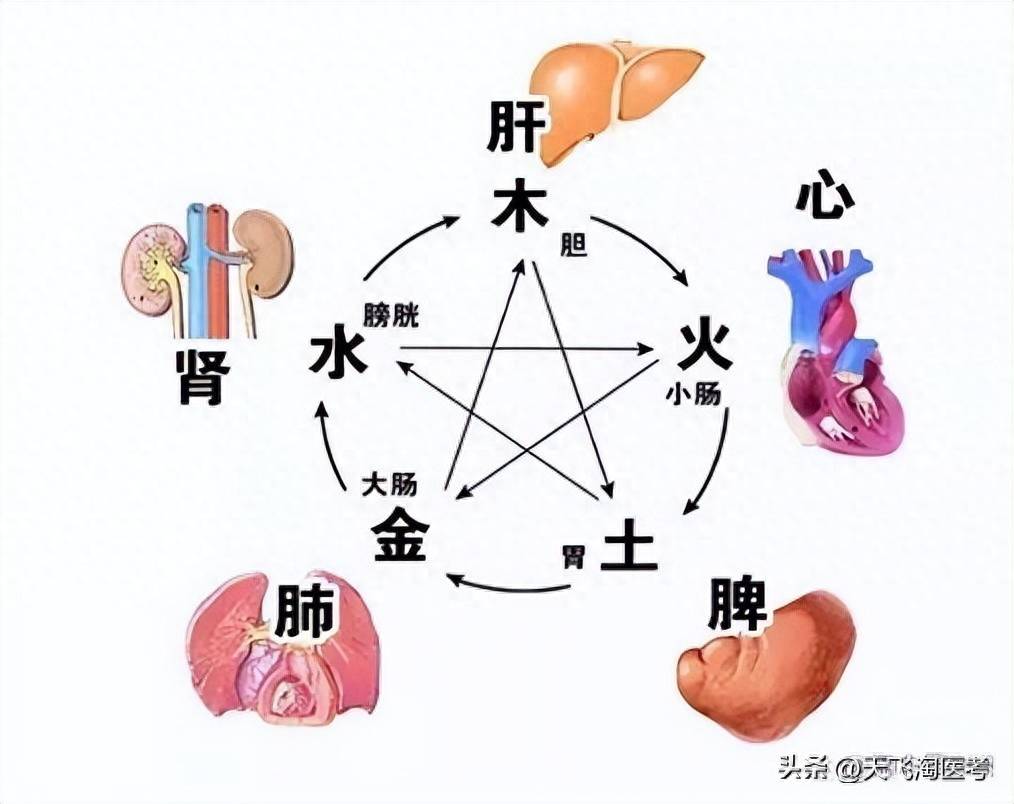 心字到底五行属火还是金(中医五行五脏小知识)