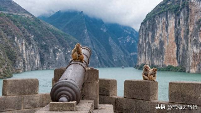 重庆旅游必去景点(重庆最值得游玩的十个地方)