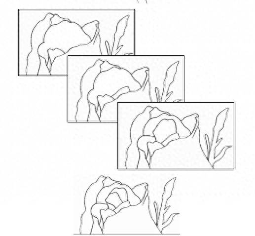 玫瑰怎么画最简单(教你如何画一朵玫瑰花)