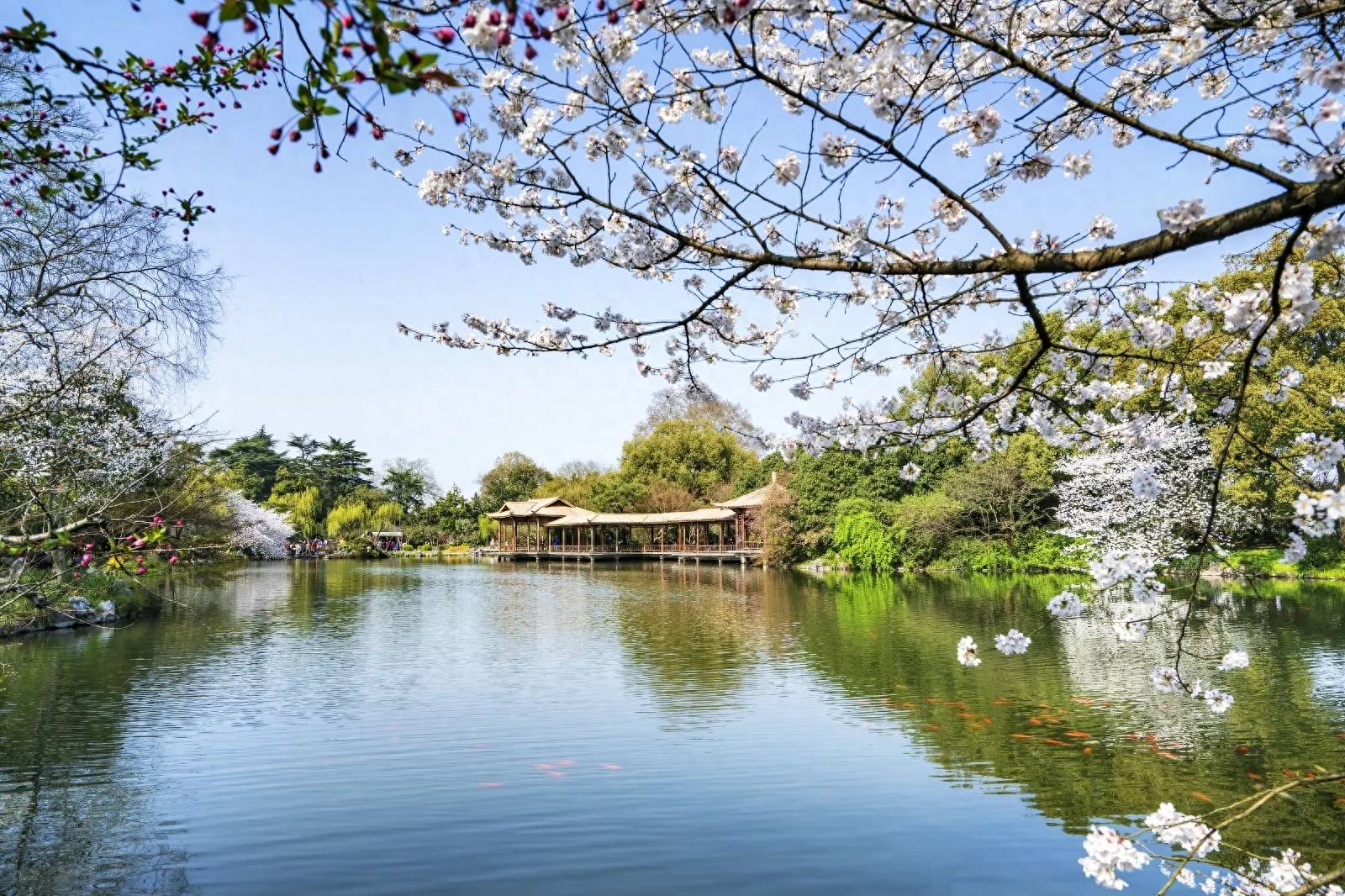 西湖十景是哪10景(杭州著名旅游景点有哪些)