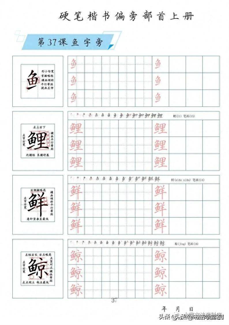 部首偏旁练字教程(最新版硬笔书法精解教程)