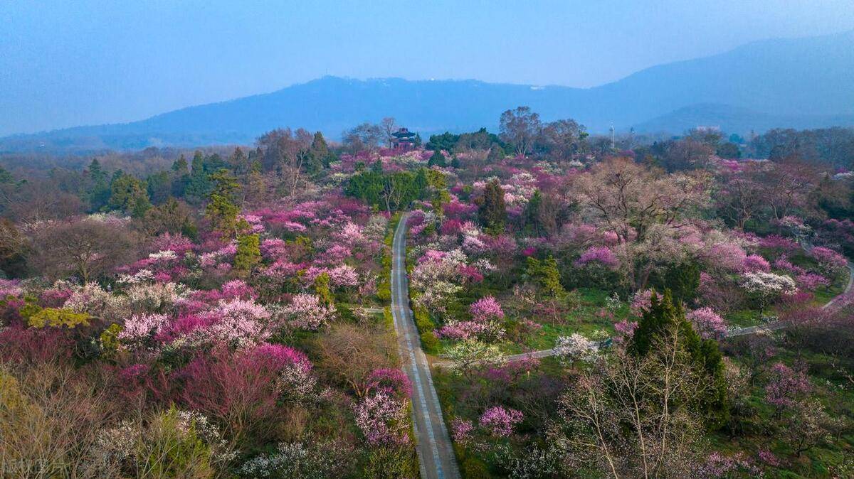 江苏景点排名大全冬天(江苏十大冬季旅游好去处)