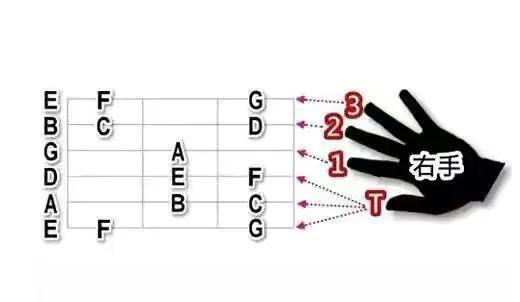 吉他教学入门零基础(零基础如何自学吉他)
