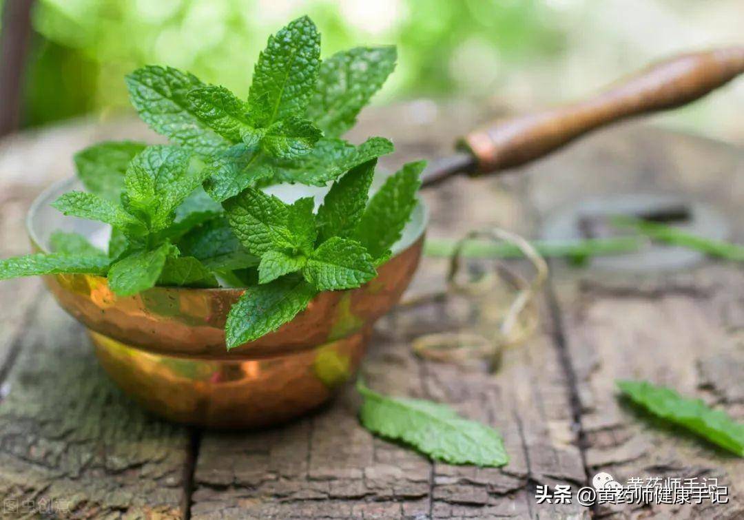 菊花功效作用是什么(菊花的用途和功效介绍)