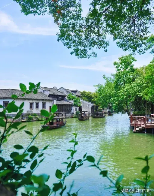 乌镇在哪个省哪个市(乌镇旅游攻略一日游)