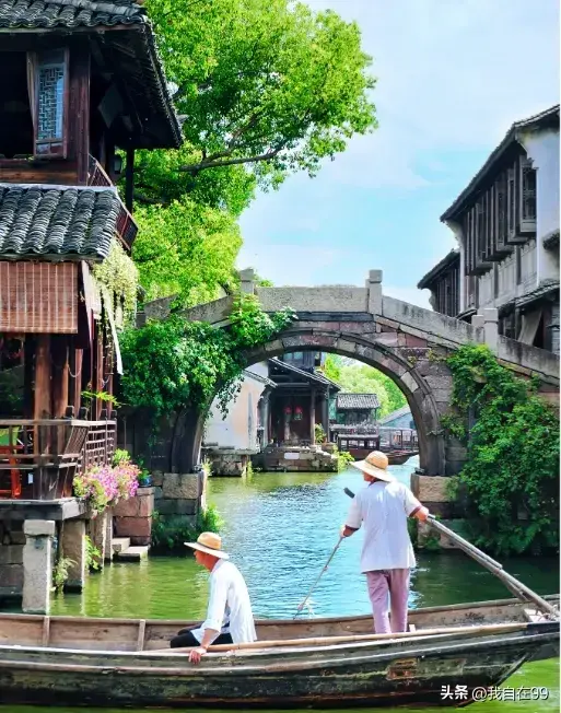 乌镇在哪个省哪个市(乌镇旅游攻略一日游)