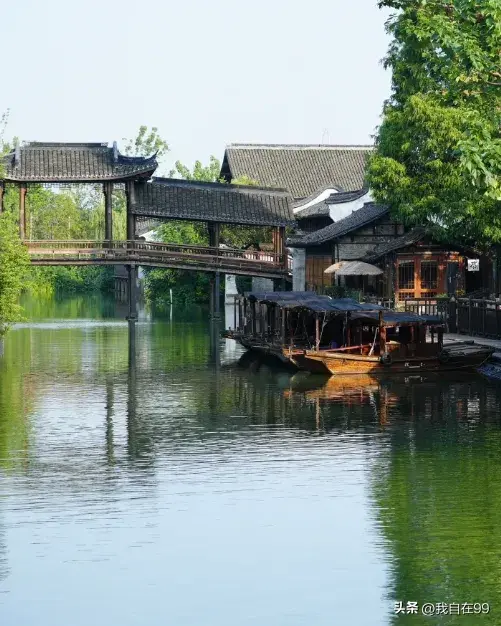 乌镇在哪个省哪个市(乌镇旅游攻略一日游)