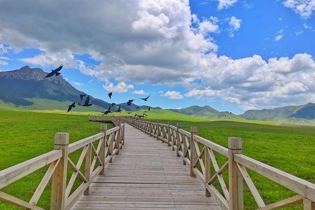 甘南必去十大景点排名(甘南自驾必去的十个景点)