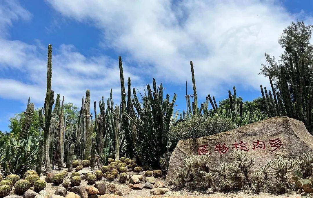 厦门旅游十大必去景点(厦门10个必去的打卡景点)