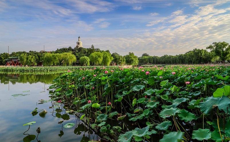 北京旅游景点推荐大全(北京十大必玩景点)