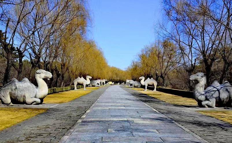 北京旅游景点推荐大全(北京十大必玩景点)