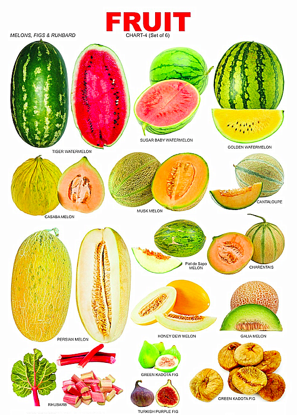 柠檬英文怎么读lemon(超全水果英文名称汇总及配图)