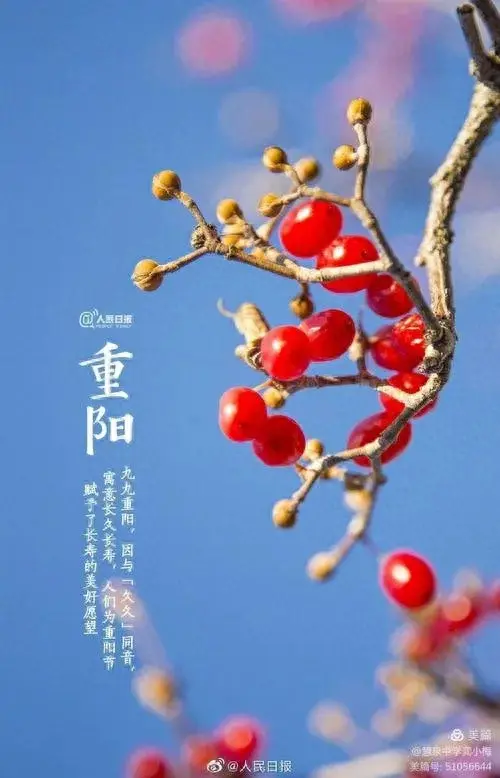 九月重阳节祝福语精选(九月九重阳节经典句子)