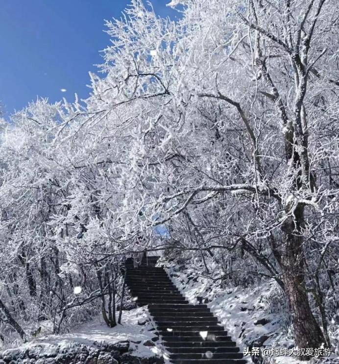 黄山旅游攻略冬季(黄山一日游最佳路线)