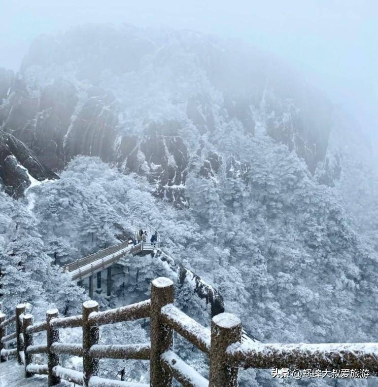 黄山旅游攻略冬季(黄山一日游最佳路线)