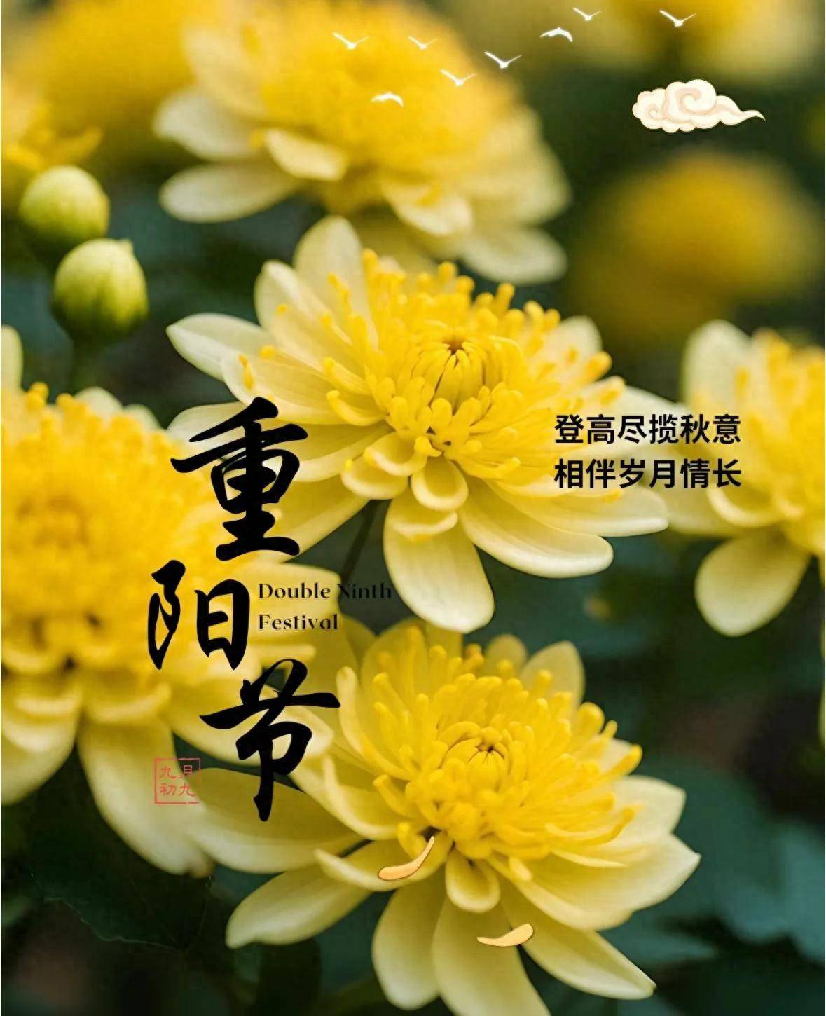 重阳节登高的寓意是什么(重阳节为什么要登高)