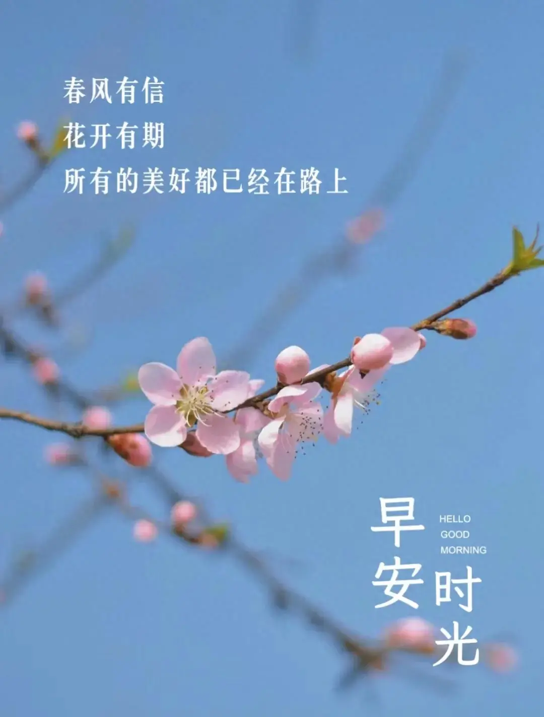 春天唯美简短句子(适合春天干净又美好短句)