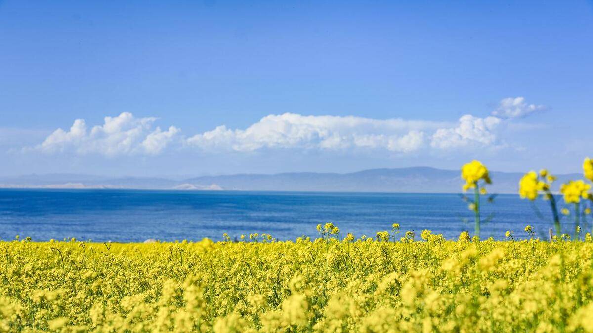 青海旅游景点大全(青海好玩景点排行榜)