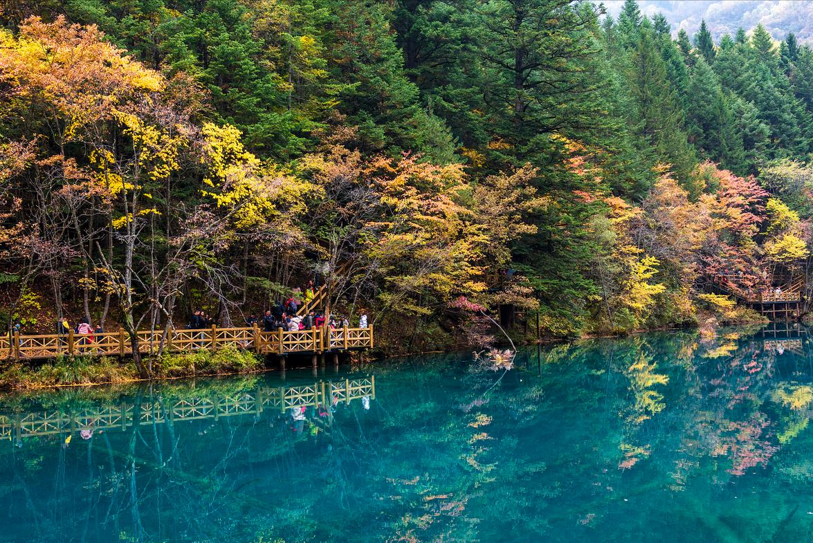 成都旅游攻略最佳方案(四川成都详细五日游计划)