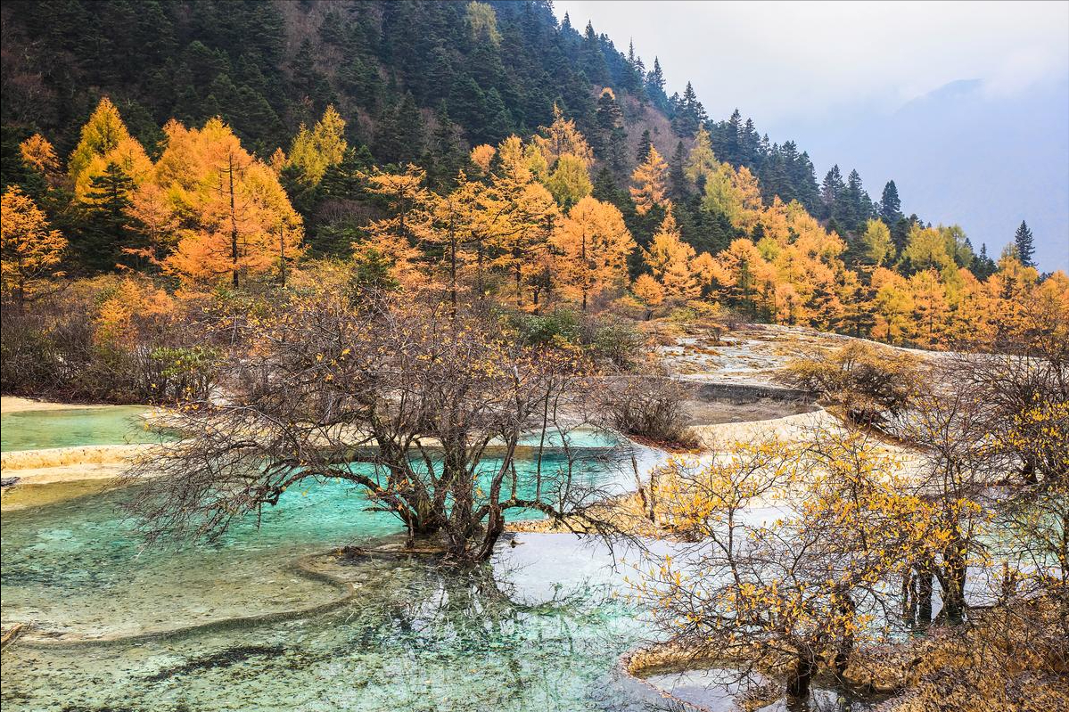 成都旅游攻略最佳方案(四川成都详细五日游计划)