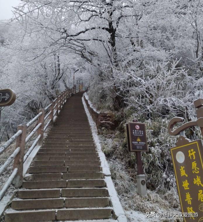 四川旅游攻略介绍(四川必去十大景点有哪些)