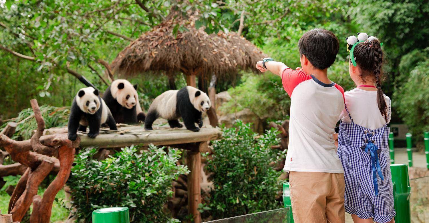 广州旅游攻略6月(广州最全旅游打卡攻略)