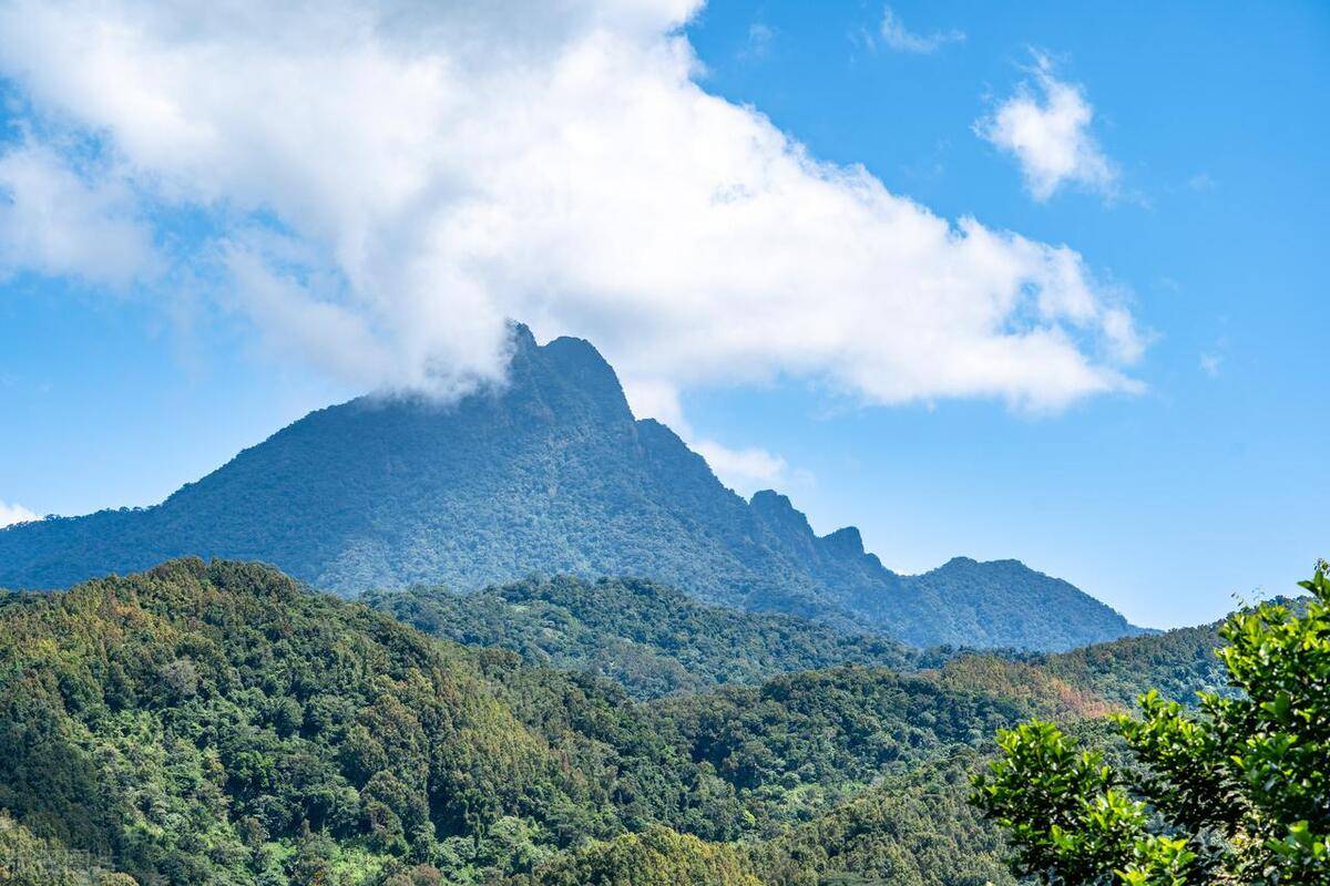 海南旅游攻略夏天(盘点夏季热门旅行地)