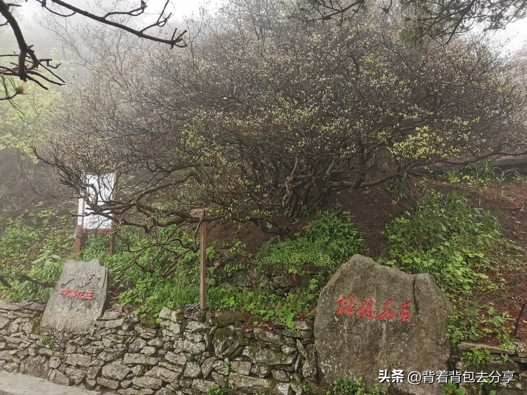 湖北旅游景点推荐(湖北省17家著名景点)