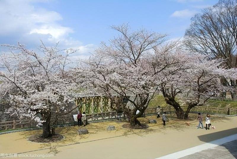 山东滨州旅游景点大全(滨州十大打卡景点)