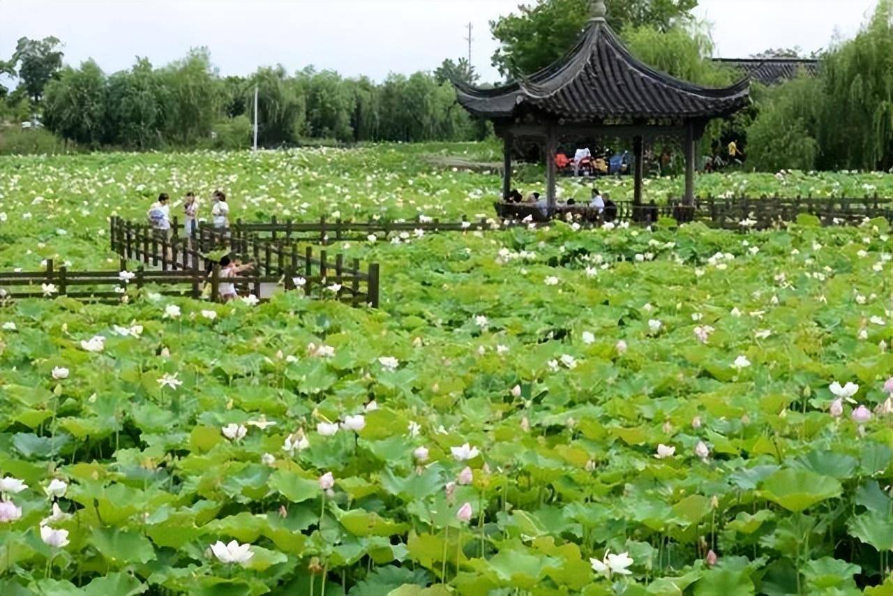 山东滨州旅游景点大全(滨州十大打卡景点)