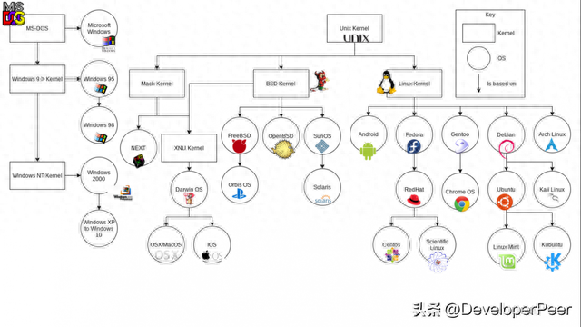 电脑系统有哪些类型(电脑分别有什么系统)