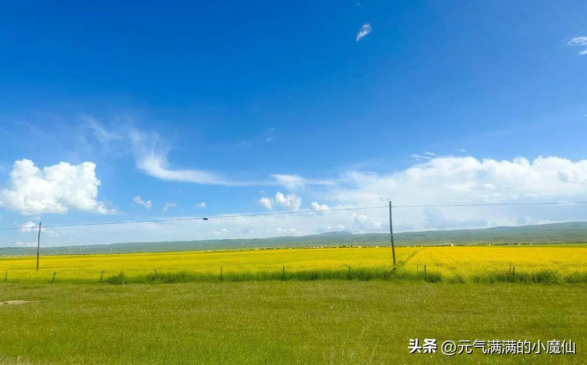 青海湖景点介绍(青海湖旅游著名景点)