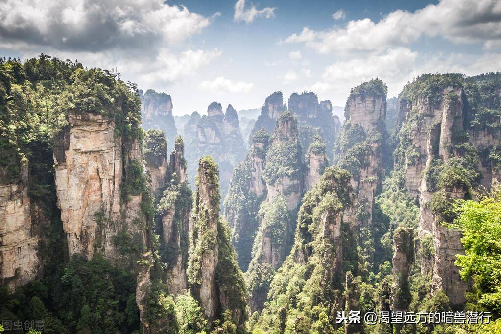 石英砂岩峰林地貌典型代表(全球最独特的砂岩地貌)