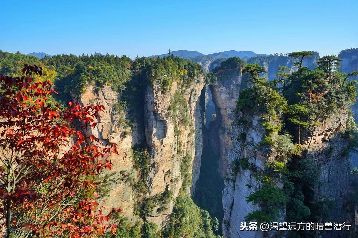 石英砂岩峰林地貌典型代表(全球最独特的砂岩地貌)