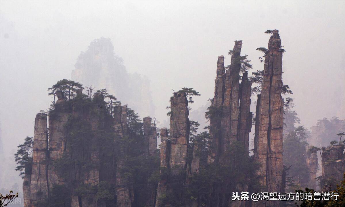 石英砂岩峰林地貌典型代表(全球最独特的砂岩地貌)