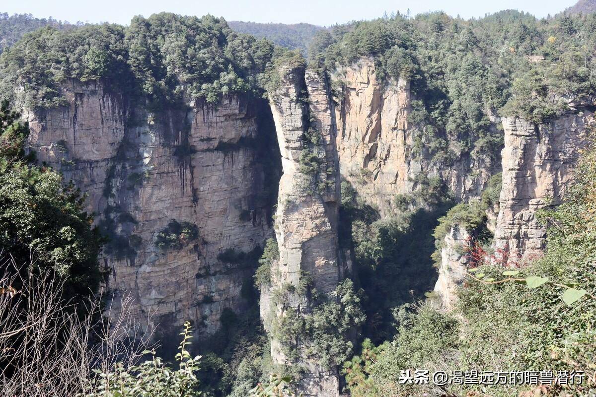 石英砂岩峰林地貌典型代表(全球最独特的砂岩地貌)