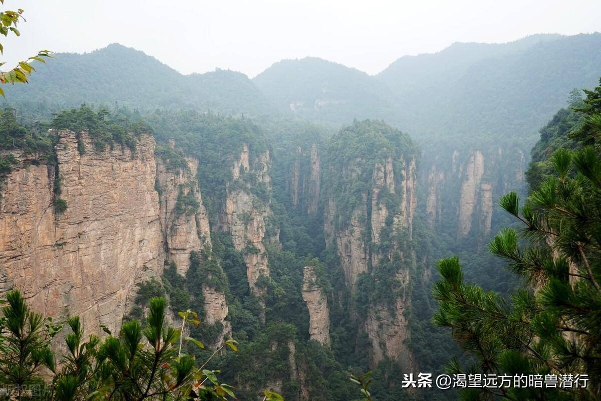 石英砂岩峰林地貌典型代表(全球最独特的砂岩地貌)