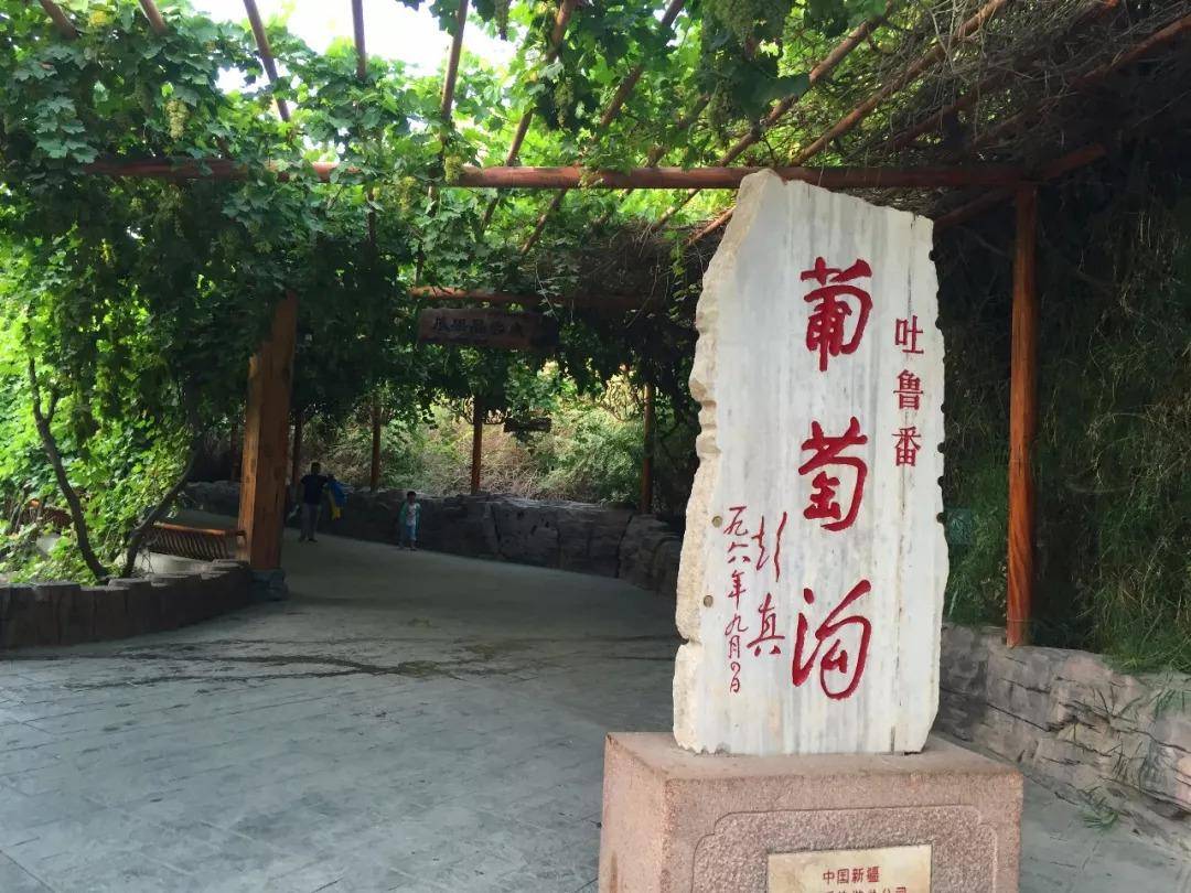 新疆哪个地区适合旅游(新疆8大受欢迎的景点)