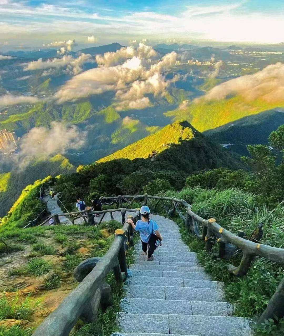 深圳旅游攻略必玩的景点(深圳必打卡的十大景点)