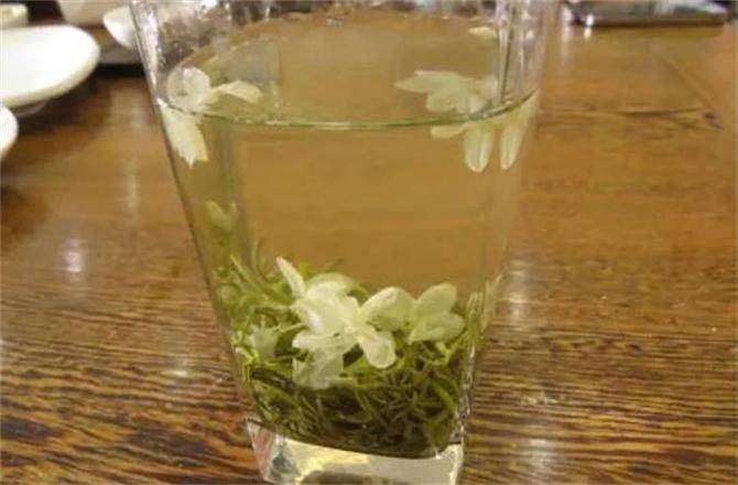 茉莉花茶功效与作用(茉莉花茶适合什么体质的人喝)