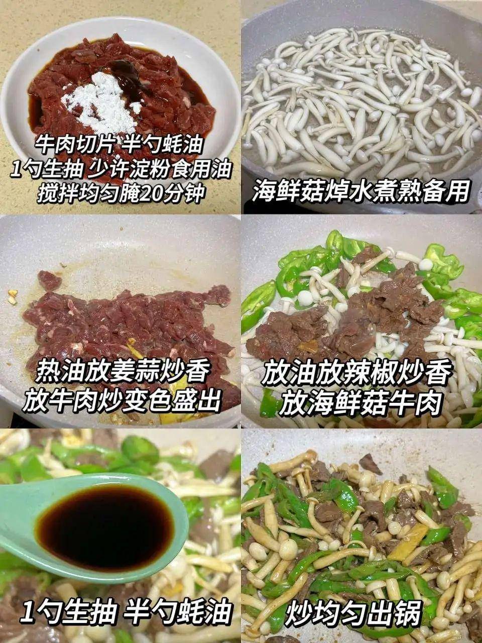 海鲜菇的功效与作用(海鲜菇做汤最佳搭配)